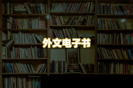 外文电子书